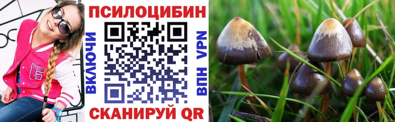 где продают наркотики  Серов  мега ССЫЛКА  Псилоцибиновые грибы ЛСД 
